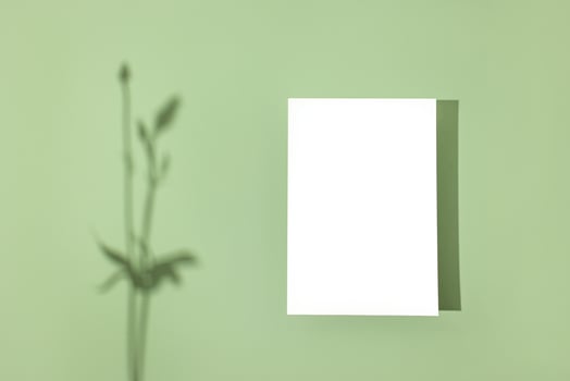 Template paper with plant shadow on pastel green background , great design for any purposes. Abstract background. Banner template. Advertising photo