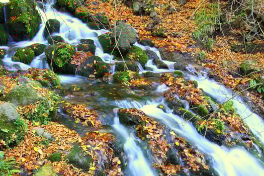 River in Yedigoller photo