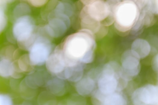 Green and blue summer bokeh for background photo