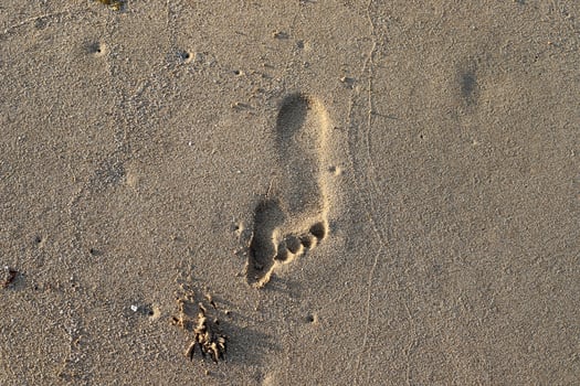Footprints in the sand on the shores of the Mediterranean Sea. photo