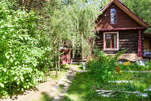 front view of rural yard and russian log house photo
