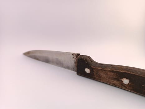 A knife with classic handle made from wood photo