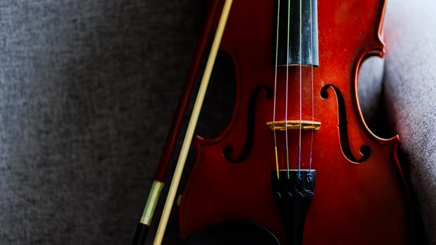 Violin vintage musical instrument of orchestra taken with natural light photo