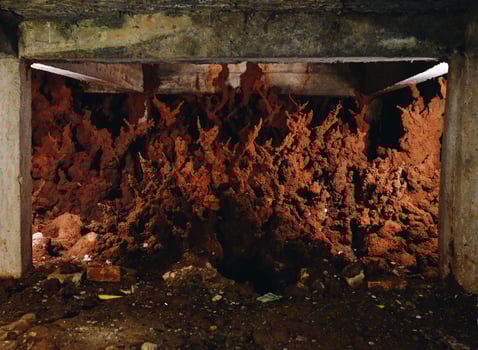 Mystery termite nest under the religion building in Wat Pa Mak Nor temple located on the Widow Island in Chiang Saen district of Chiang Rai province, Thailand. photo