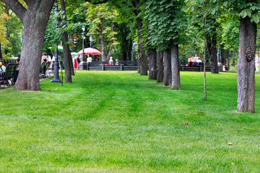 Green manicured lawn on a blurred background of a city park and people resting. photo