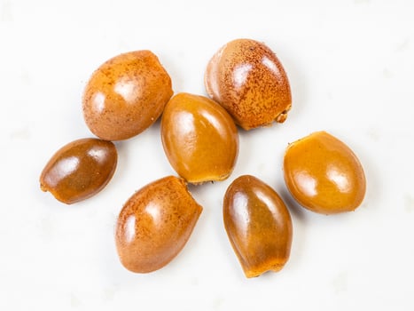 dried star anise badian seeds close up on gray photo