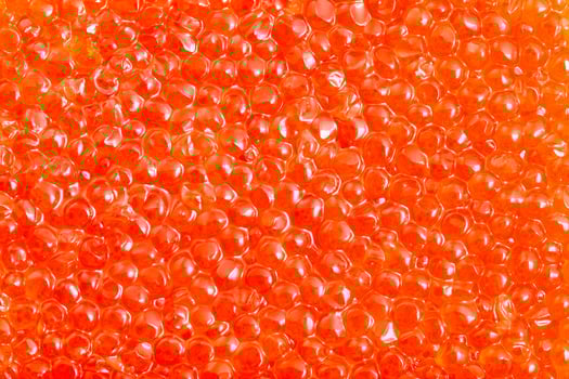 salted russian red caviar of pink salmon close-up photo