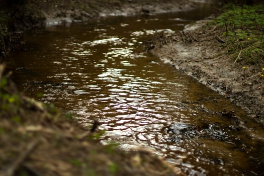 A stream in the forest. Fresh water flows through a natural channel. photo
