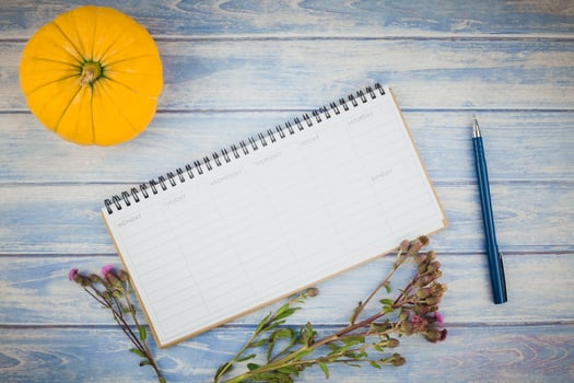 Blank planner mock up with autumn pumpkins photo