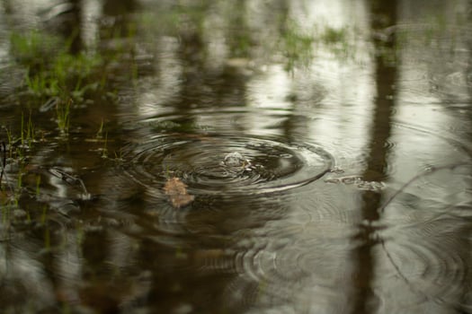 Puddle in spring. Circles on the water. The surface of the water after the rain. photo