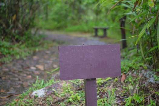 Blank wooden Signpost on the nature trail photo