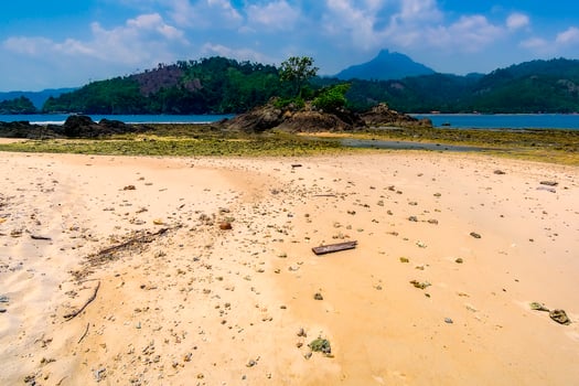 Teluk Kiluan Coconut Island photo