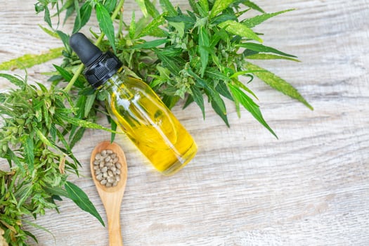CBD oil cannabis extract, Hemp oil bottles and hemp flowers on a wooden table,  Medical cannabis concept, copy space. photo