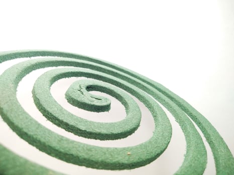 green mosquito coil in the form of a spiral isolated on a white background.close up photo