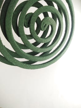 green mosquito coil in the form of a spiral isolated on a white background.close up photo