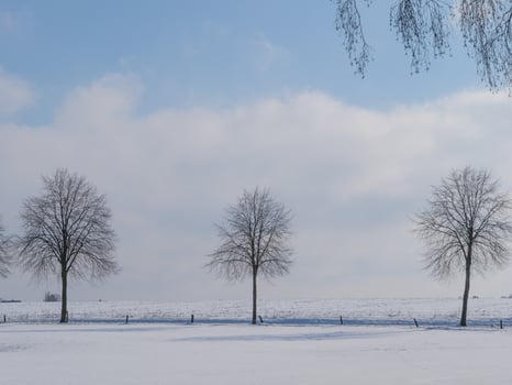 Raesfeld,Germany,2020-the castle of Raesfeld in germany photo