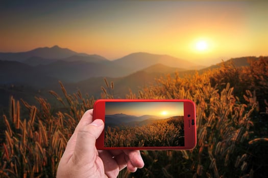 Taking photo of dry grass sky summer sunset  landscape