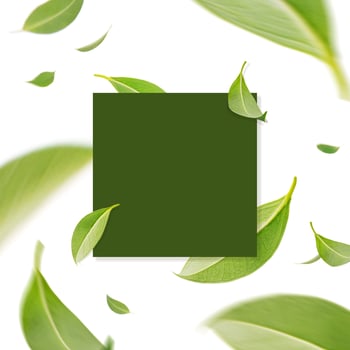 Creative modern card design of flying whirl green leaves in the air with paper card, Nature concept by tea leaf, Flat lay photo