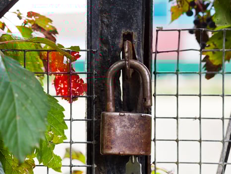 padlock with key on gate photo