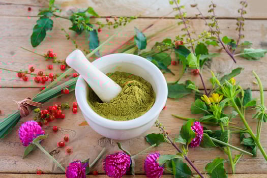 Fresh herbs powder in the mortar, alternative medicine photo