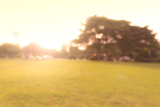 public park blurry background photo