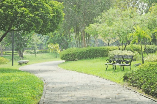 public park and walkway photo
