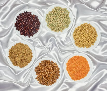 Kinds of legumes photo