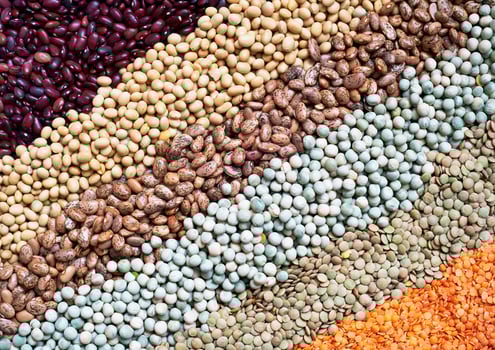 Kinds of legumes photo