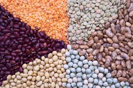 Kinds of legumes photo