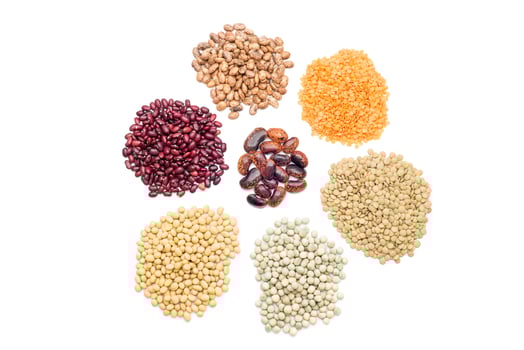 The kinds of legumes photo