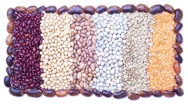 The kinds of legumes photo