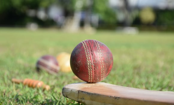 Cricket sport equipments bat ball gloves on green lawn  blurred green grass cricket field, concept for using cricket sport equipment in training. photo