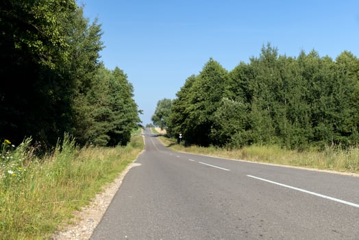 Paved road through the forest photo