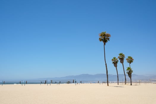 Palm trees and volleyball nets on Venice beach Los Angeles California photo