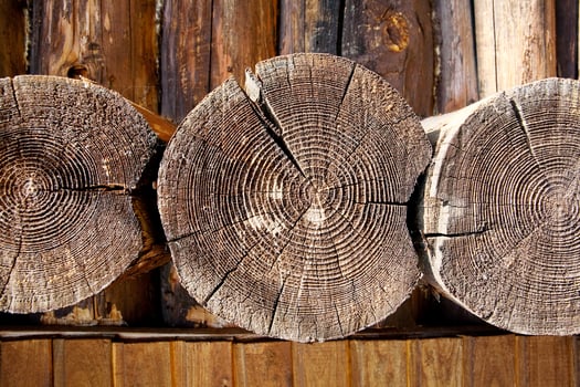end of old logs photo