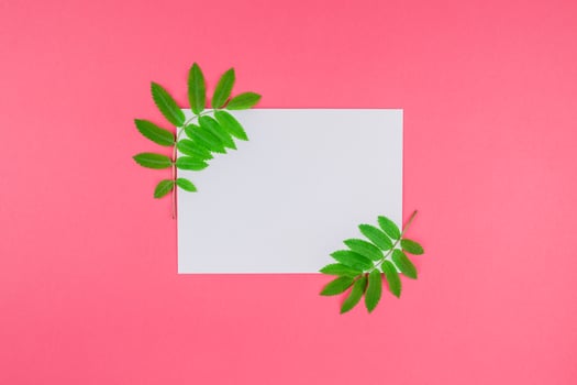 White letter mock up with fresh green leaves photo
