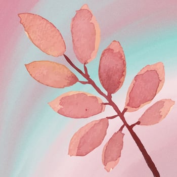 Watercolor Flowers With Watercolor Background photo