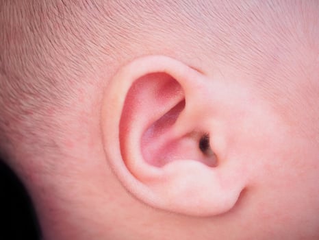 newborn baby ear close up photo