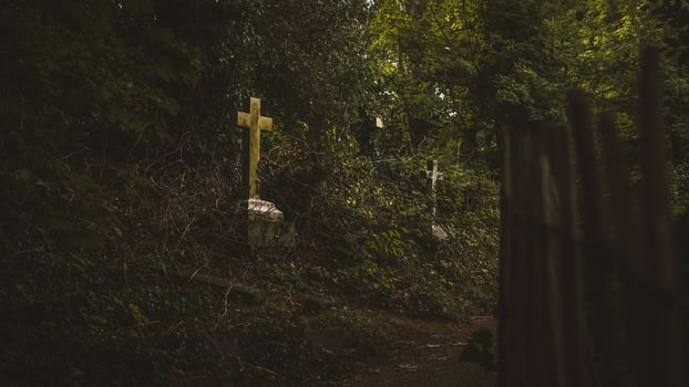 Gravestones in cemetery, Arnos Vale Cemetery photo