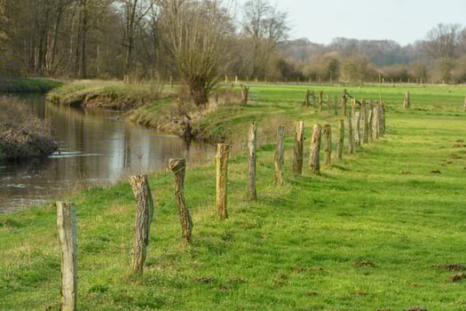 The river Aa near borken in germany photo