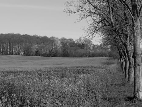 Westphalian landscape near Billerbeck photo