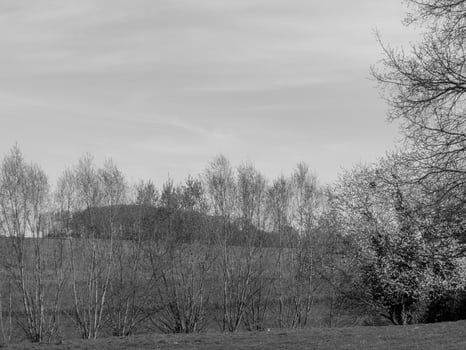 hiking in the german muensterland photo