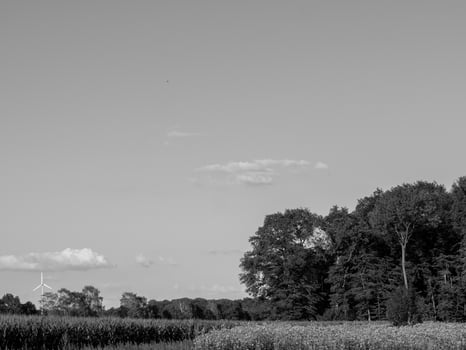 summer in westphalia photo