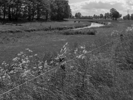spring time in westphalia photo