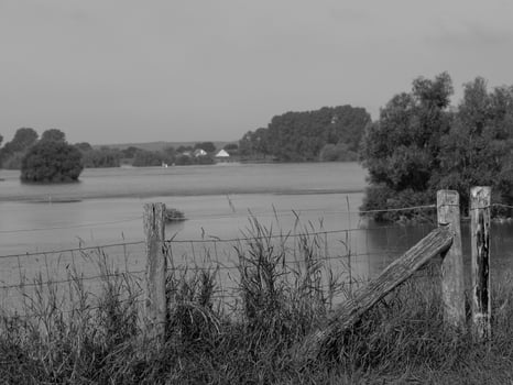 the nature in westphalia photo