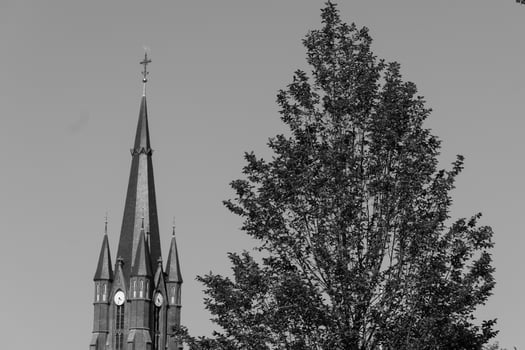 summer time in westphalia photo