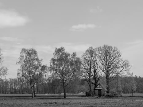 spring time in westphalia photo