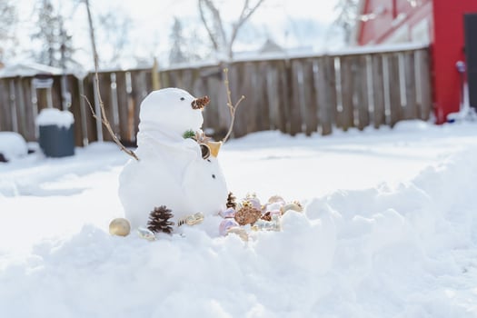Merry Christmas and happy New Year greeting card with copy-space.Many snowmen standing in winter Christmas landscape.Winter background.Snowman with Dry Flower and pine . Happy holiday and celebration. photo