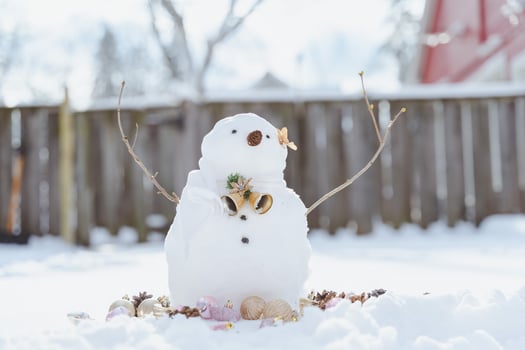 Merry Christmas and happy New Year greeting card with copy-space.Many snowmen standing in winter Christmas landscape.Winter background.Snowman with Dry Flower and pine . Happy holiday and celebration. photo