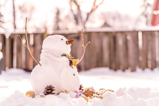Merry Christmas and happy New Year greeting card with copy-space.Many snowmen standing in winter Christmas landscape.Winter background.Snowman with Dry Flower and pine . Happy holiday and celebration. photo